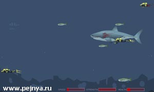 Вы играете акулой. Спокойно плывете уворачиваясь от ножей аквалангистов и попутно пожираете самих аквалангистов.