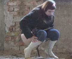 �����������